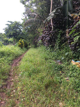 Load image into Gallery viewer, Super Affordable Farm Lot in Indang Cavite