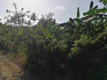 Load image into Gallery viewer, Affordable Farm Lot in Lumil Cavite