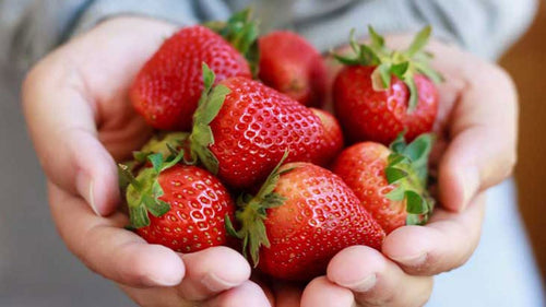 Fresh Strawberry Fruit 250g