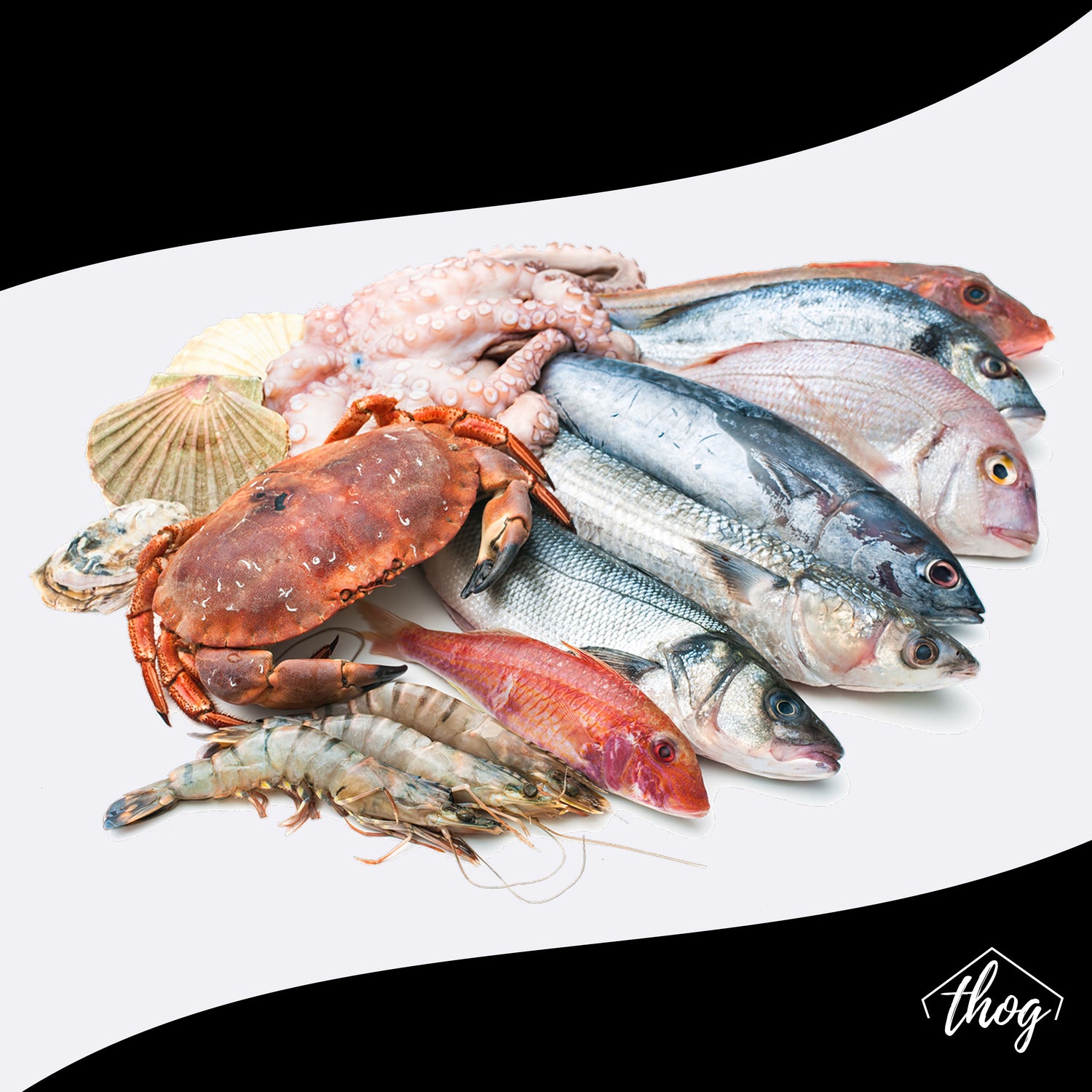 Fresh Catch Fish & Seafoods