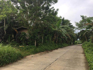 Super Affordable Farm Lot in Indang Cavite