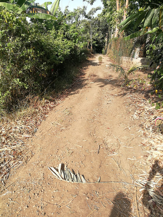 Affordable Farm Lot in Lumil Cavite