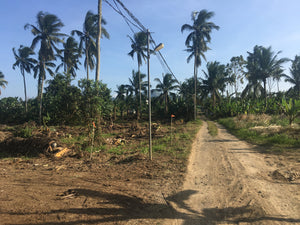 Farm / Residential Lot For Sale in Lumil Cavite - ( Subdivided Lots)