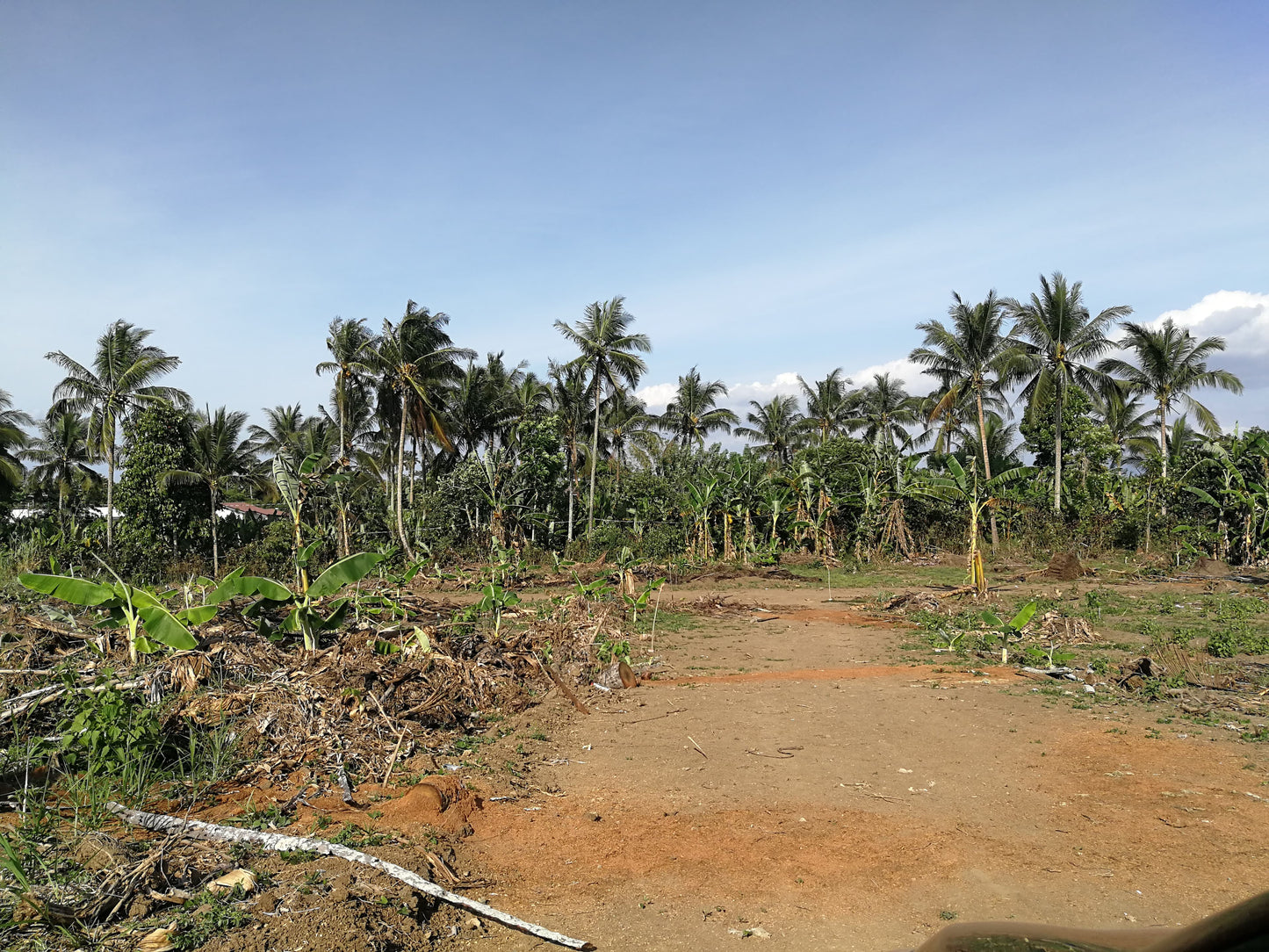 Farm / Residential Lot For Sale in Lumil Cavite - ( Subdivided Lots)