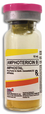 Amphostal (Amphotericin B)