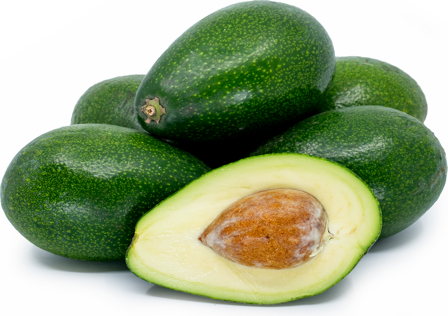 Avocado Fruit