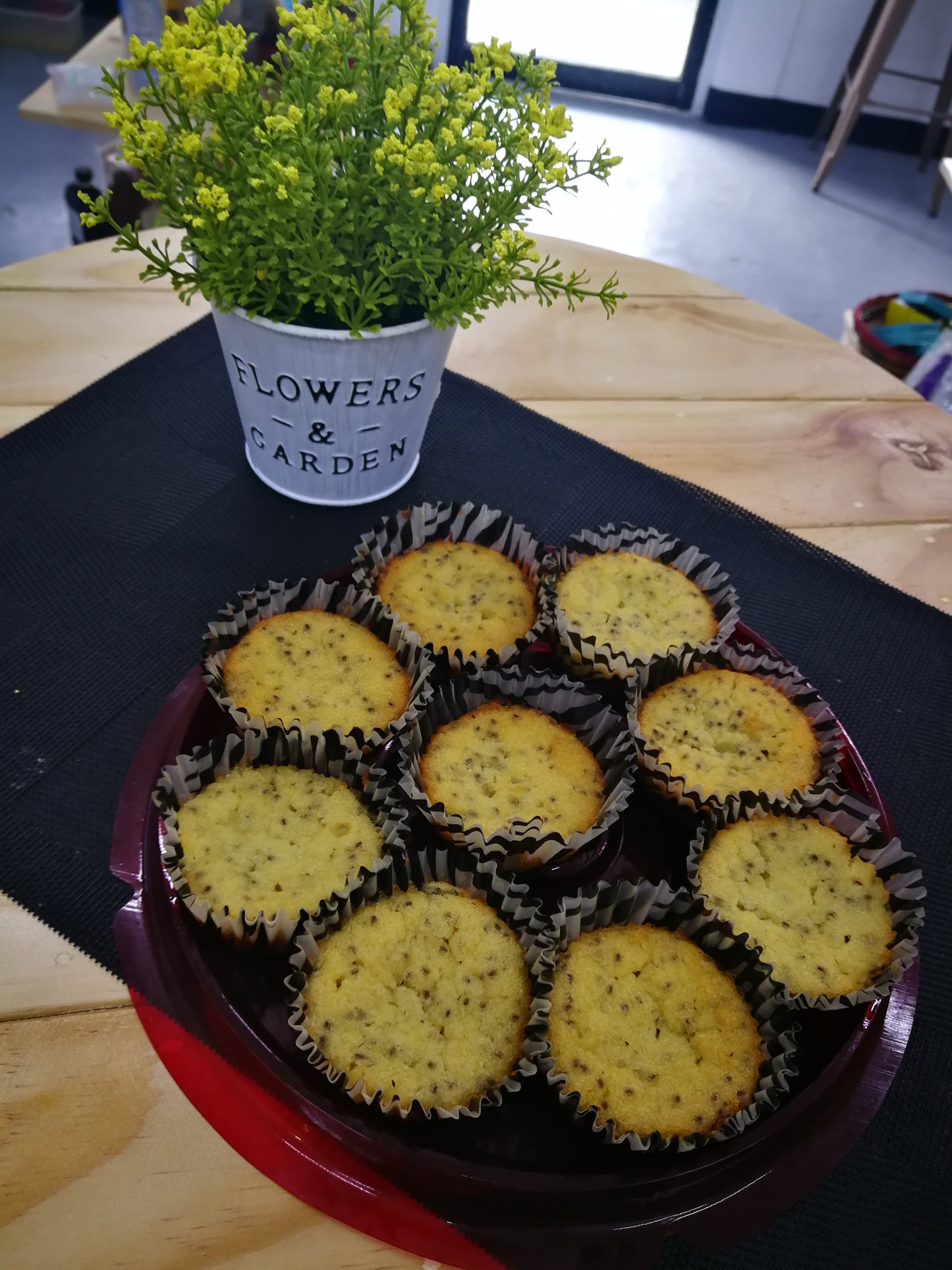 Coco Cupcake w/ Chia Seeds