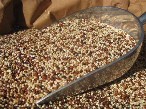 Quinoa