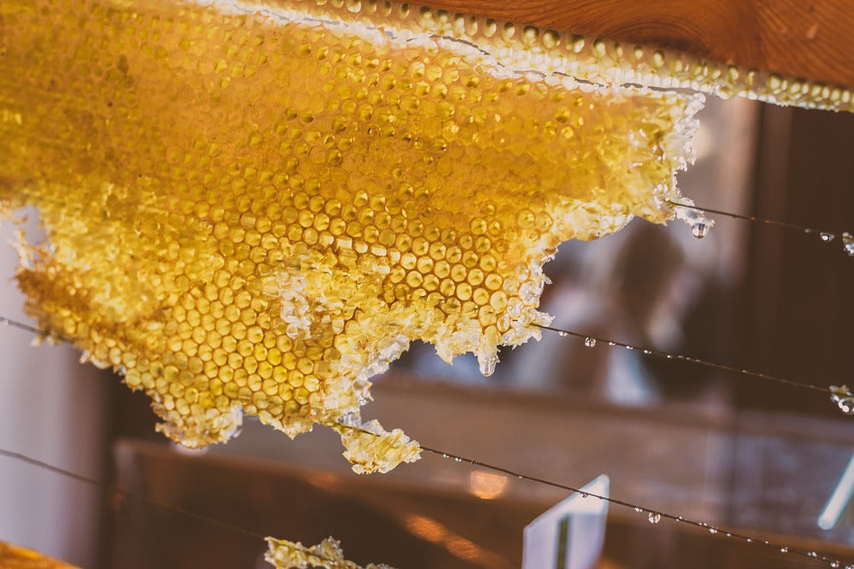 Honey Bee Syrup