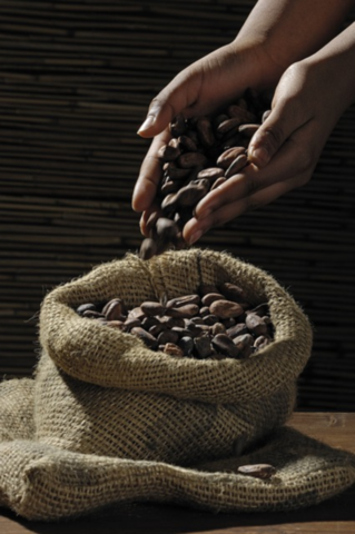 Roasted Cacao