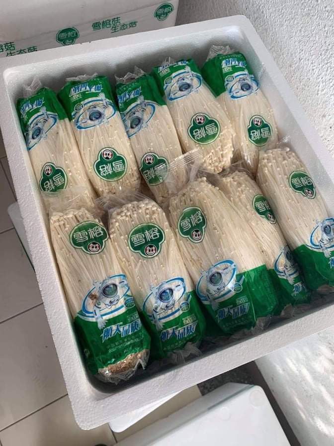 Enoki Mushroom