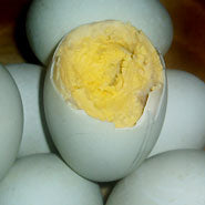 Duck Eggs