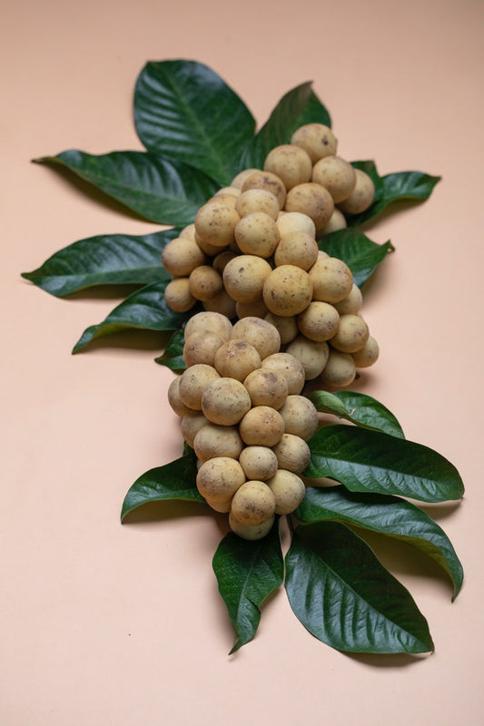 Lanzones