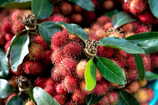Rambutan