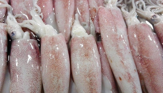 Pusit (Squid) /1kg
