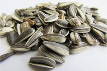 Load image into Gallery viewer, Sunflower Seeds (100 grams)