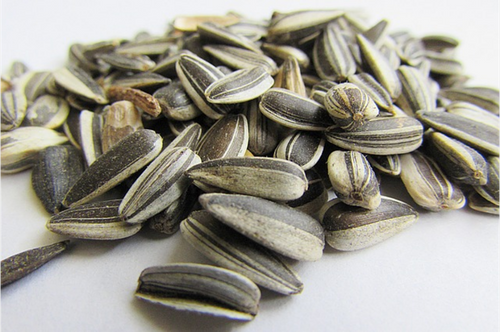 Sunflower Seeds (100 grams)