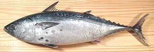 Tambakol (Skipjack Tuna) /1kg