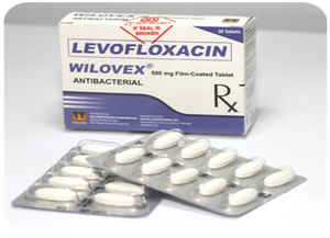 Wilovex (Levofloxacin)
